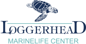 Loggerhead-Logo
